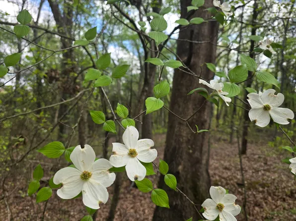 5 Cloverleaf Way, Antlers, OK 74523