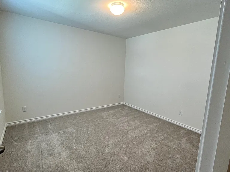 11642 Black Rose — Photo 11