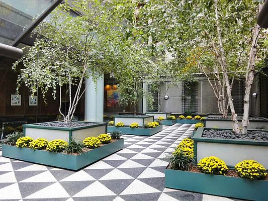 Rented by Town Residential | media 8