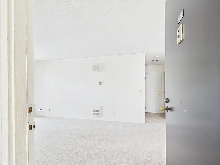 3102 Golden Oaks Ln — Photo 4