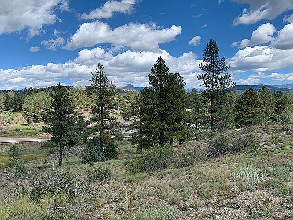 hillside