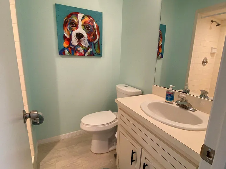 Hall bath (with shower)