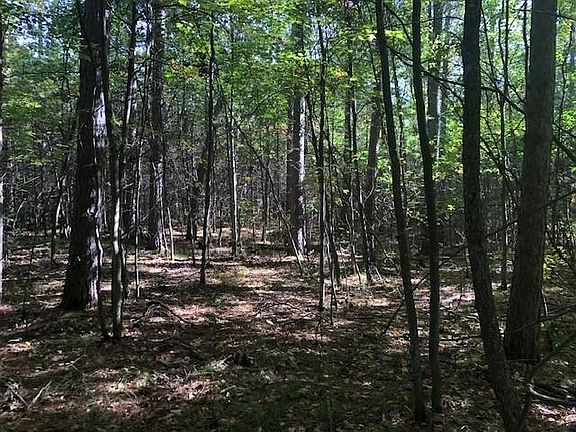 2nd image of Lot 10 PATRICE PINES LN