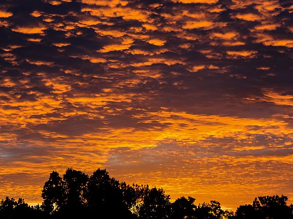 Nightly Views from Kitchen