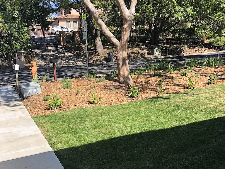 Manuela Ave — Photo 3