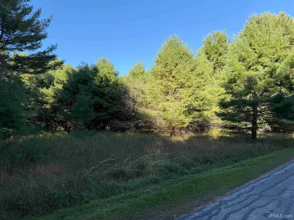 W Pine Ridge Rd, Manistique, MI 49854