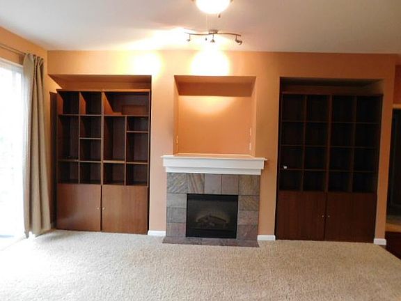 Fireplace and Bookshelves