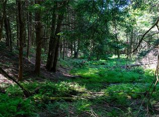 112 Eagles Ridge Way, Parksville, NY 12768