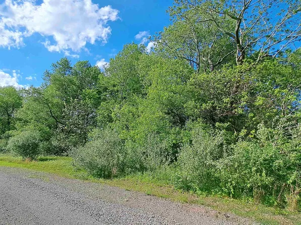 Hudson Mill Rd, Albright, WV 26519