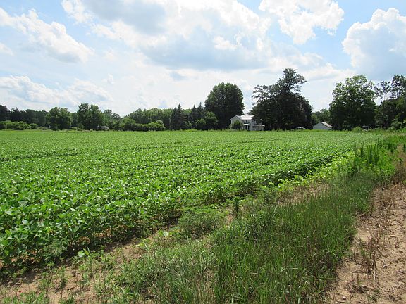 5th image of Farrand Rd