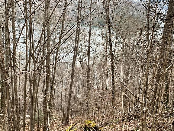 4th image of Nantahala Shrs