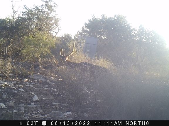 2nd image of 116 LEONA RANCH RD LOT 116