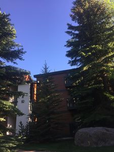 4514 Timber Falls Ct #1004, Vail, CO, 81657
