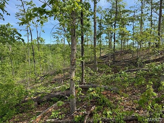 3rd image of County Road 305a