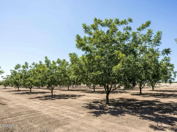 215 Red Hills Rd, Hatch, NM 87937