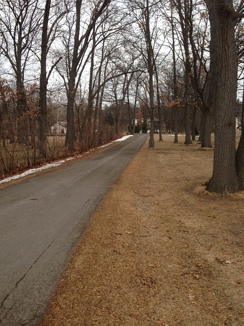 2nd image of River Forest