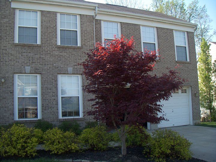 2nd image of 1194 Parkside Dr