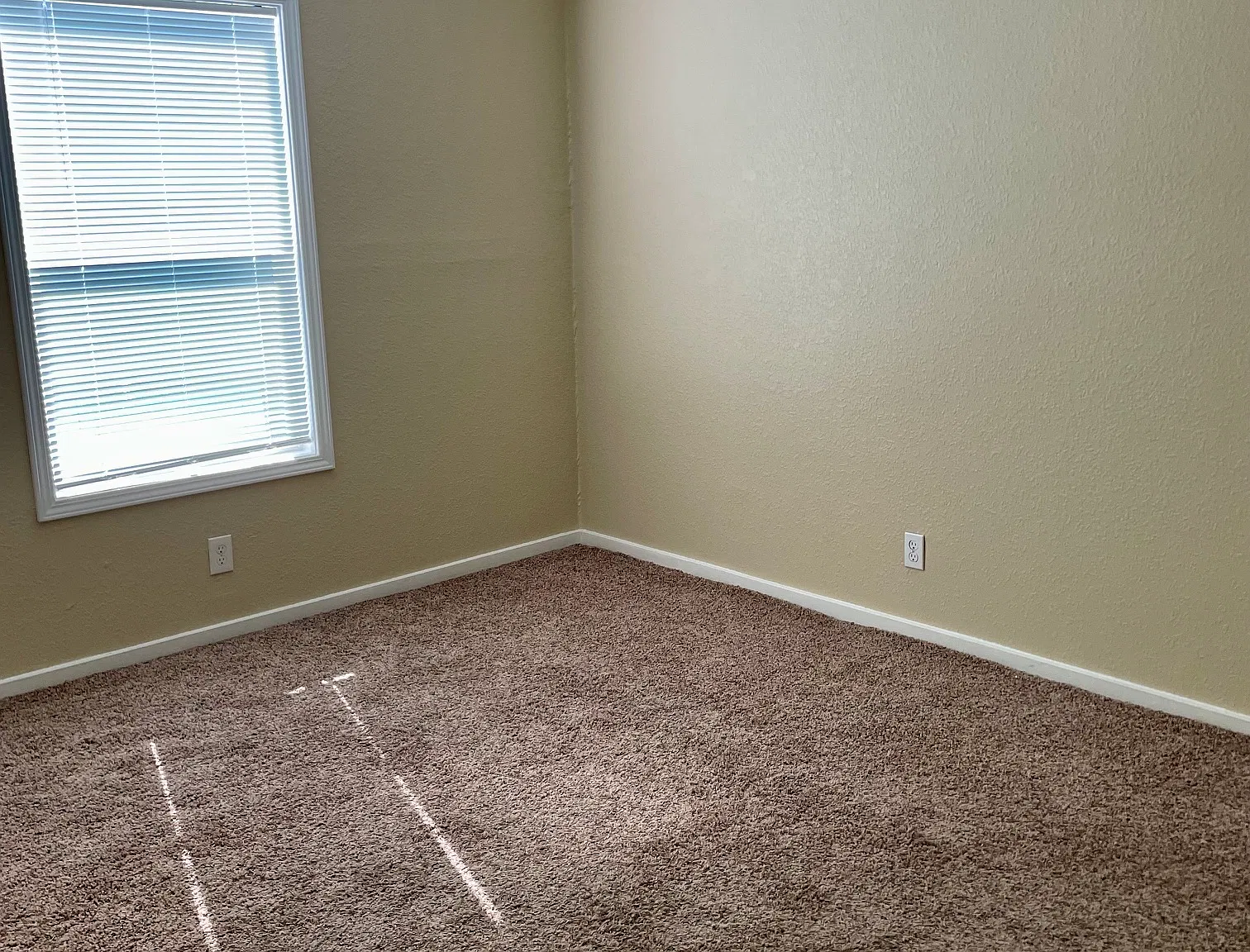 2 bed, $1,900 — Photo 4
