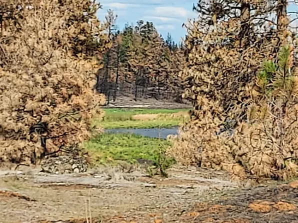 5 S Clear Lake Rd, Medical Lake, WA 99022