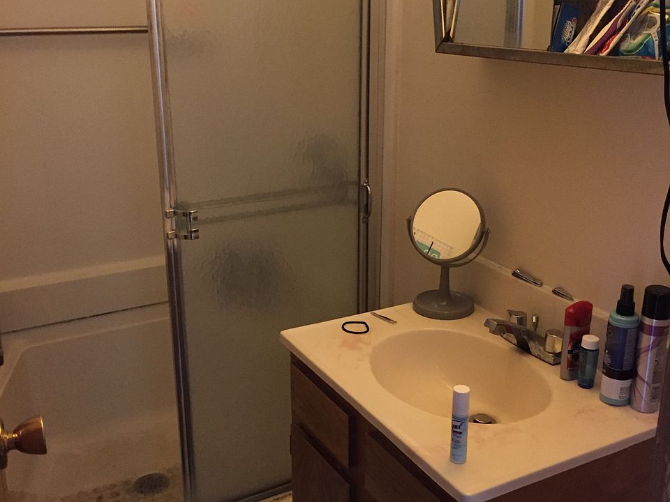 Bathroom Vanity & Shower