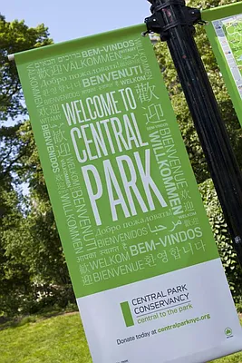 Rented by Stellar Management | media 15