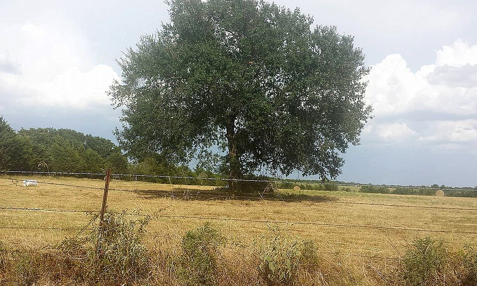 2nd image of 994 County Road 3513