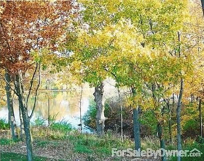 Fall colors : Magnificent fall foliage from the deck
