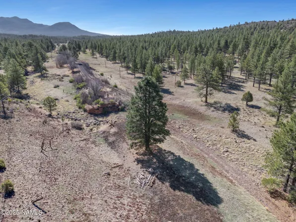 X W Pine Spgs, Williams, AZ 86046