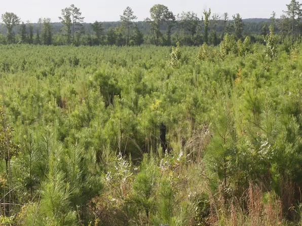 0 Balerma Church Rd Tract 1, Sparta, GA 31087