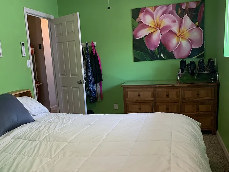 2nd bedroom has walk-in closet