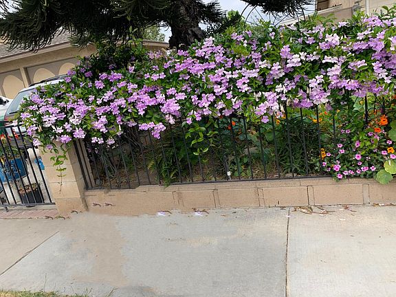 3rd image of 3649 Stichman Ave