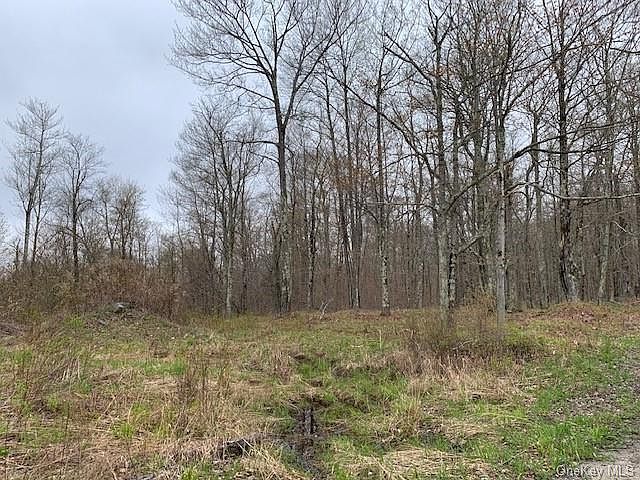 1st image of Turkey Hollow Ln