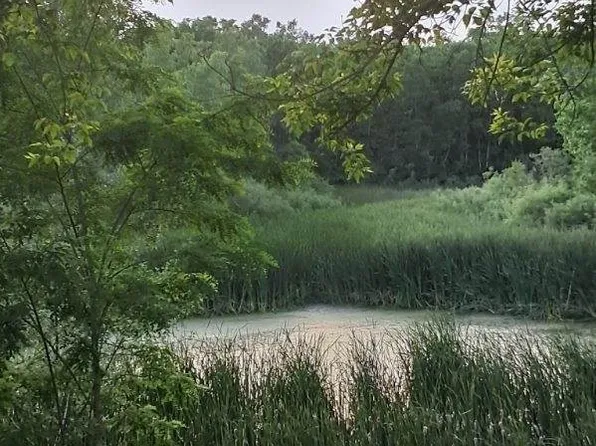 LOT 18 W Orchard Valley Dr, McHenry, IL 60050