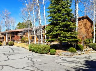 1851 Florida Rd APT 102, Durango, CO 81301