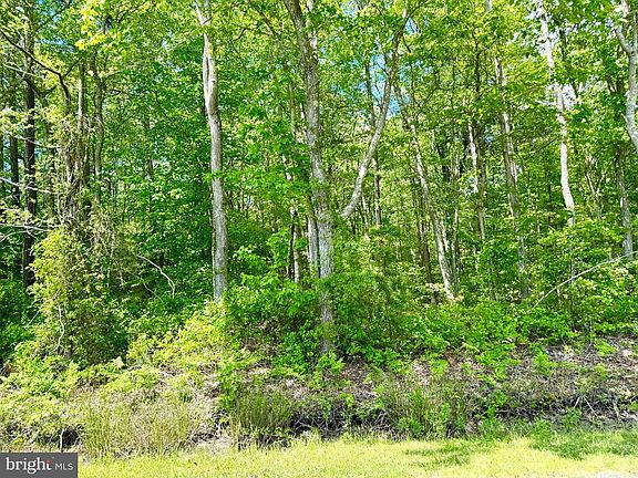 4th image of 0 Anderson Rd