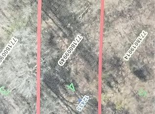 12435 Trinity Rd, Trinity, NC 27370