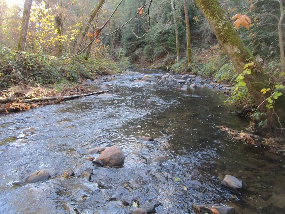 1st image of 10415 Carrington Ln