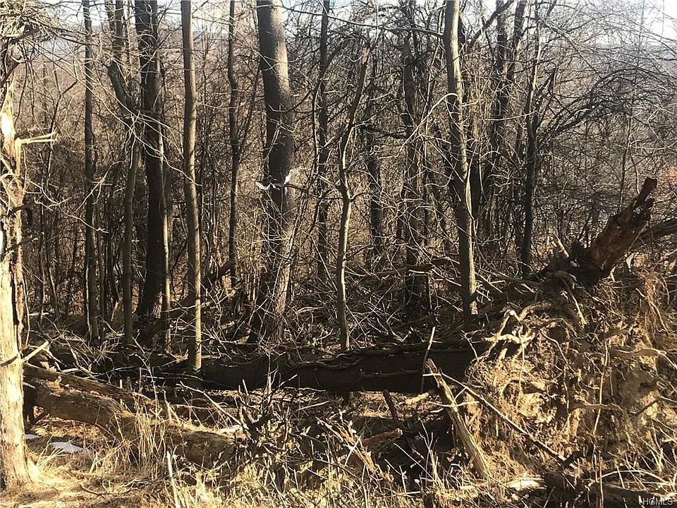 2nd image of Rte 207