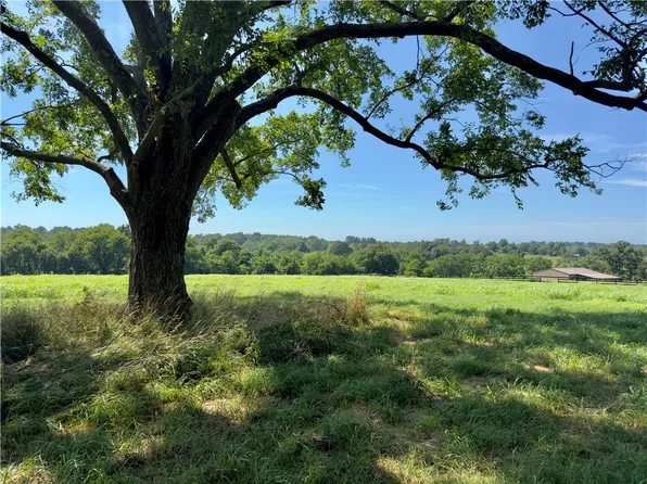 Ladelle Avenue Ladelle Rd Tract 2, Lowell, AR 72745