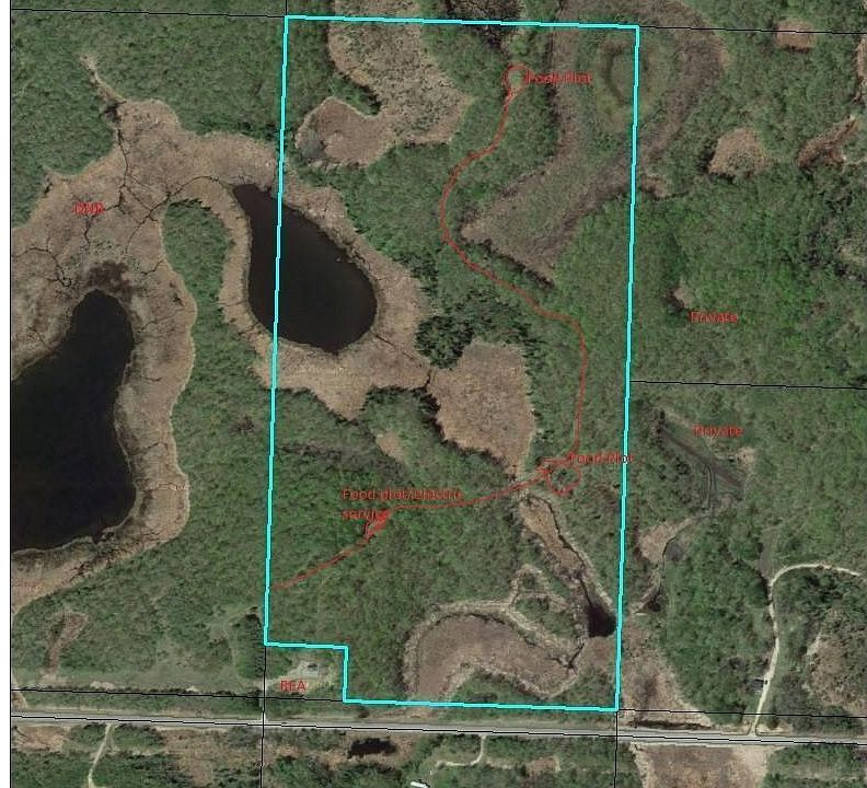 1st image of 113 County