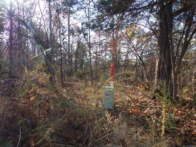 Heritage Oaks, Mountain View, AR, 72560