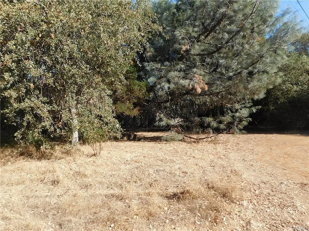 15556 23rd Ave photo 1