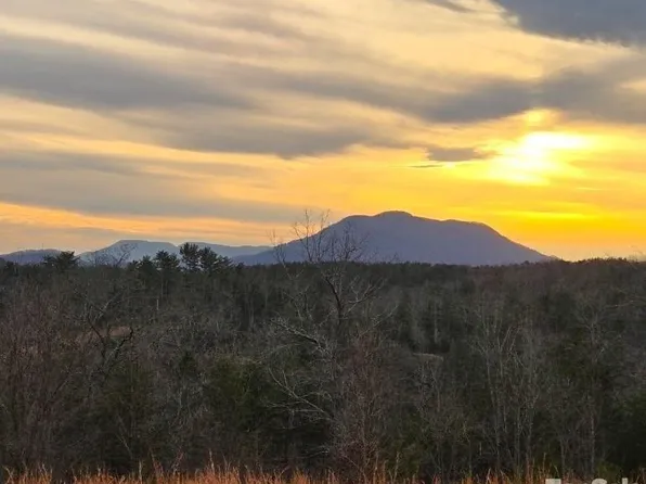 1 Price Summit Way, Mill Spring, NC 28756