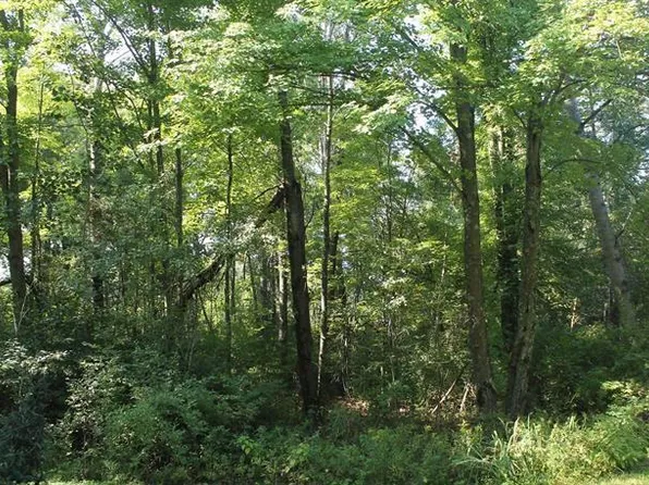 Lot 53, 3rd Avenue #53, Oxford, WI 53952