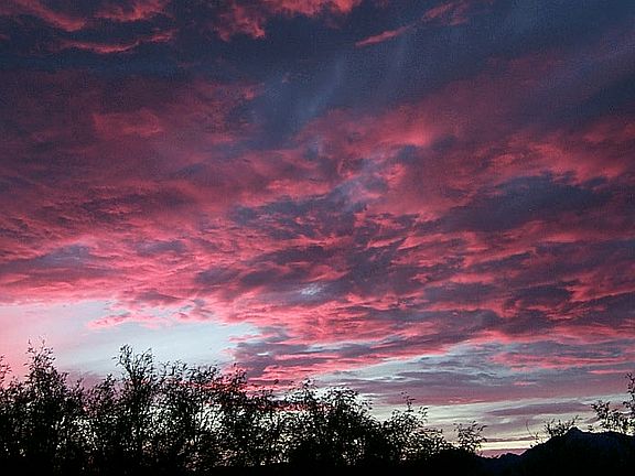 Santa Cruz County / Rio Rico