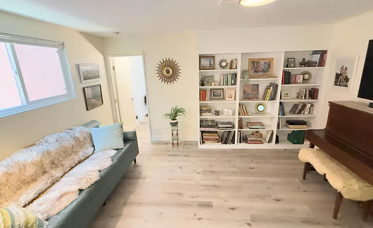 downstairs bonus room - media room