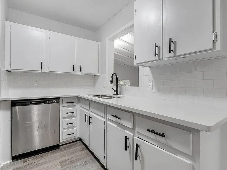 Kitchen sink and dishwasher