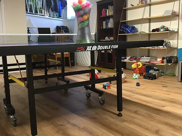 Finished basement (sports room)