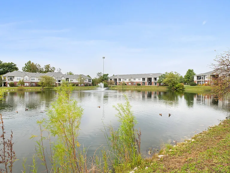 Scenic Pond Outlook