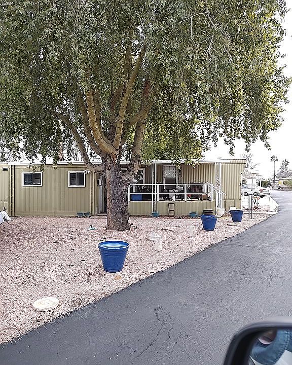 Low maintenance yard